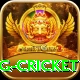 1st inning betting cricket Games (Casino & Earning) Elite v3.2.3