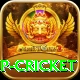 2022 world cup cricket Master Pro v5.2.1