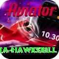 antigua hawksbill Apps (Tools & Injectors) Max v2.2.6