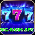 bbl big bash apk VIP Edition v3.0.0