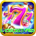 bbl cricket - Slots Mega