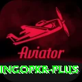 bingopkr Deluxe Edition v2.9.9