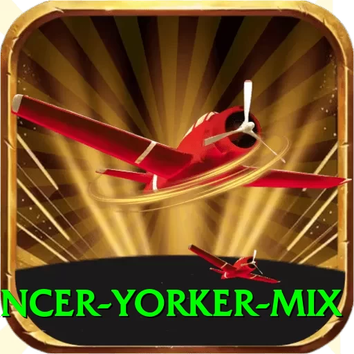 bouncer yorker mix Pro1 v3.0.1 - 2