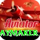 cam playmaker VIP Edition v5.4.4