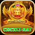 cricket bat Pro Edition v1.1.6