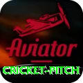 cricket pitch VIP Edition v2.3.8