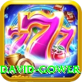 david gower Deluxe Edition v2.4.9
