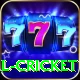 defending total cricket VIP Pro v4.1.8