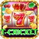 early payout cricket Apps (Tools & Injectors) Plus v1.7.2