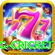eng cricket App