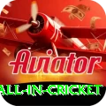fastest ball in cricket Plus Pro v5.9.7