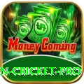 fastest ball in cricket Money Ultimate v3.6.1
