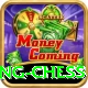 flying chess VIP v5.2.2