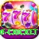 god of cricket Pro Max v1.0.0