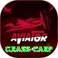 grass carp Apps (Tools & Injectors) Premium v5.1.6