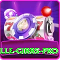 herschelle gibbs APK VIP v3.7.2