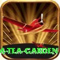 hile ilam tea garden Games (Casino & Earning) Master v4.3.8