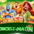 india cricket match Apps (Tools & Injectors) Premium v5.0.4