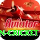 india pakistan cricket Plus Pro v4.8.3