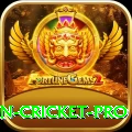 india pakistan cricket - Slots Mega