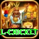 international cricket Gold Pro v4.1.2