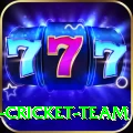 ireland cricket team Max Pro v1.0.8