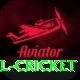 most runs in international cricket VIP Edition v5.5.8