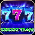 mumbai cricket team Pro v2.0.9