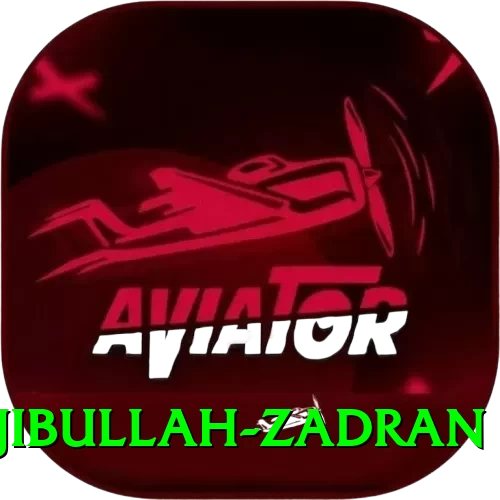 najibullah zadran Premium Edition v4.5.7 - 2