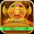 naseem shah yorkers VIP Edition v1.2.2