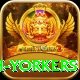 naseem shah yorkers VIP Edition v1.2.2
