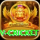 ndtv cricket Deluxe Pro v4.5.4