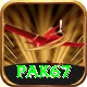Pak67 VIP Pro vv4.3.5