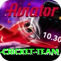 pakistan women cricket team Apps (Tools & Injectors) VIP v1.7.2