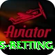 partnership runs betting Pro1 v1.6.6