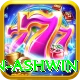 ravichandran ashwin VIP Edition v1.9.9