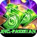 responsible gambling pakistan Plus Pro v2.3.4