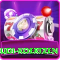 rudi koertzen Pro Max v1.1.2