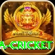 sa cricket Pro v4.0.4
