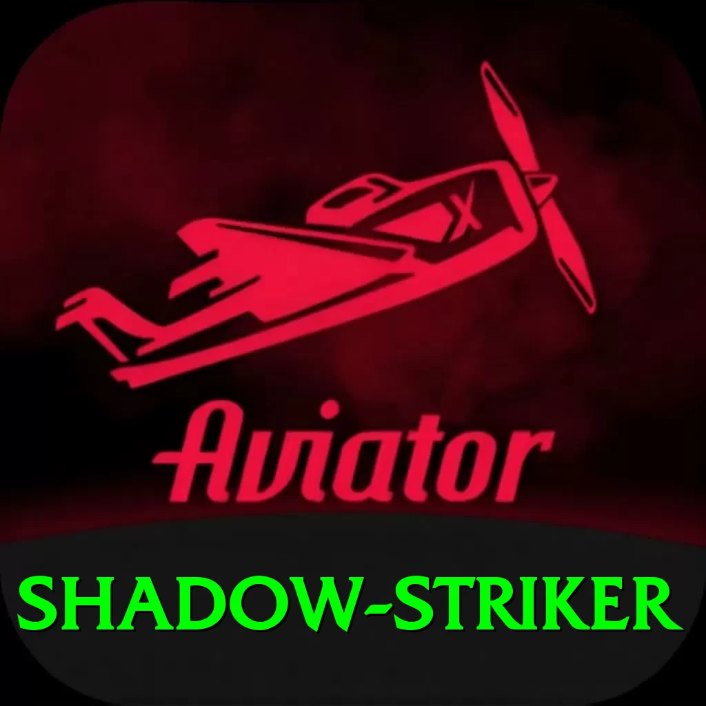 shadow striker Premium v2.4.6 - 2