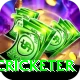 shahrukh khan cricketer Plus v1.3.2