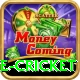 smartcric live cricket App