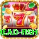 snake head fish Turbo v2.2.3