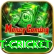 test cricket VIP v3.1.8