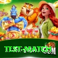 test match Gold Pro v2.5.1