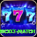 to day cricket match Turbo v1.9.2