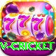 v cricket Gold Pro v5.0.1