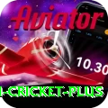 virat kohli cricket Casino Legend v5.9.9