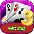 wc t20 Pro v5.3.9